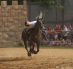 Ritterspiele Scherneck 2009