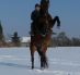 Mighty Februar 2012 in Effringen