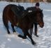 Mighty Februar 2012 in Effringen