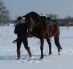 Mighty Februar 2012 in Effringen