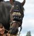Mighty mit Heike in Effringen