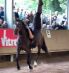 Mighty - Trickreitshow in Nagold 2010