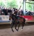 Mighty - Trickreitshow in Nagold 2010
