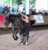Mighty - Trickreitshow in Nagold 2010